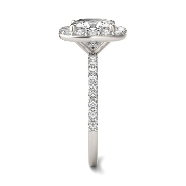 CUSHION ELEVATED HALO